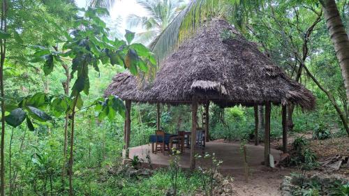 Kizimkazi Ski Chalet | yasmin ecohouse zanzibar