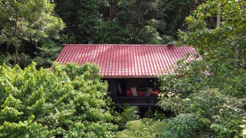 Las Horquetas Cabin | Yatama Rainforest Ecolodge