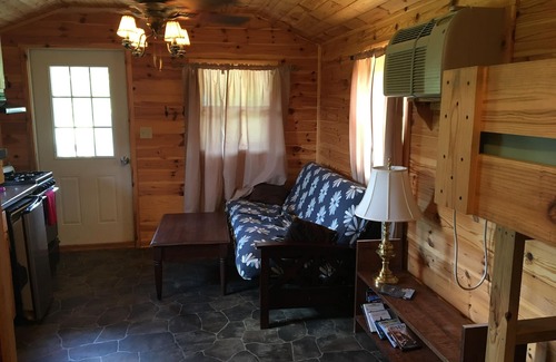 Galeton Cabin | Yellow Warbler Cabin 10 minutes to Cherry Springs