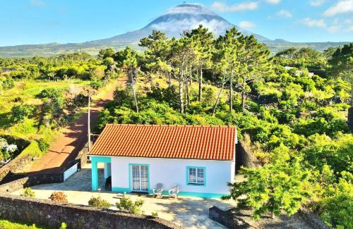 Sao Roque do Pico Resort | Yes Pico