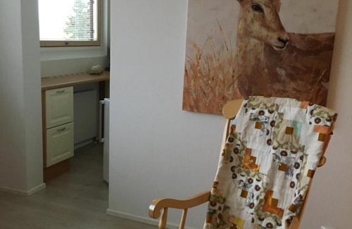 Aanekoski Apartment | Yksiö Järvimaisemalla