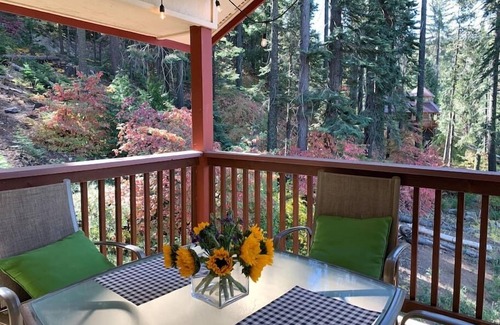 Yosemite West Apartment | YoBee! Heart of Yosemite. Cozy View Studio. Reservations + Free Breakfast ~U3