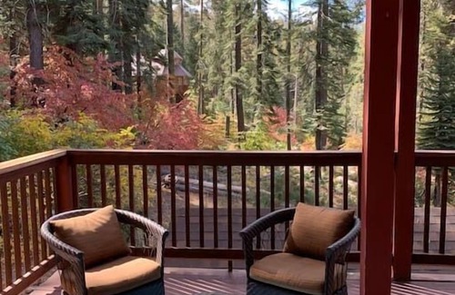 Yosemite West Apartment | YoBee! Heart of Yosemite. Cozy View Studio. Park Entrance + Free Breakfast ~L8
