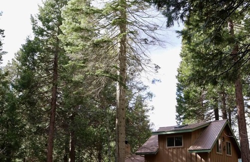 Sugar Pine Cabin | YOSEMITE CABIN IN HISTORIC SUGAR PINE -7 miles to Yosemite So. Entrance HOT TUB!