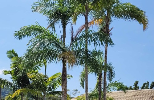 Sertao do Trombudo House | Your beach vacation home.