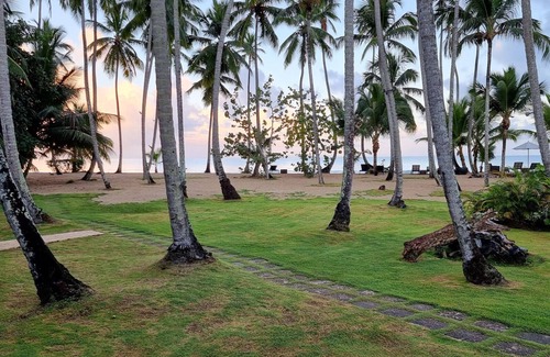 Las Terrenas Apartment | Your dreamed holidays at Coson Bay