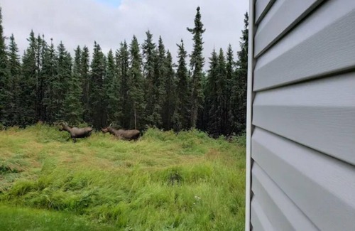 Fairbanks House | Your Hive Away From Home!