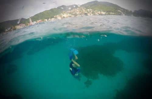 Les Anses-d'Arlets Boat Rental | Your private sailboat at anchor among the turtles + diving option