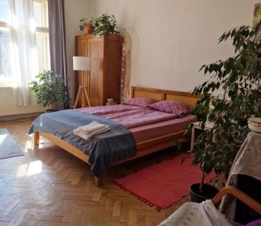 Sever Bed & Breakfast | Your private room in our appartment in Kosice