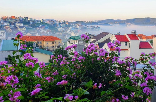 Da Lat Villa | Your Scadanivian home in the heart of Dalat