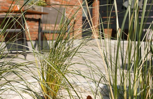Wittbek Apartment | Your time out between the seas - Modern, quiet 2 room apartment near Husum