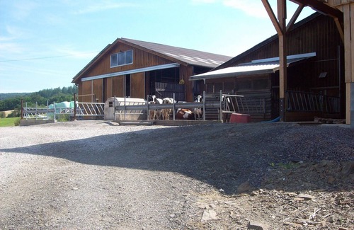Harbshausen Apartment | Your vacation farm at the Edersee and the Kellerwald-Edersee National Park!