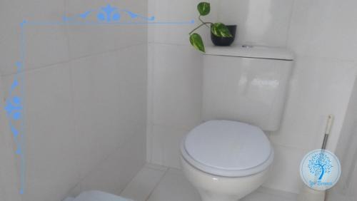 Jabaquara Other | Ypê Branco Camping Conforto