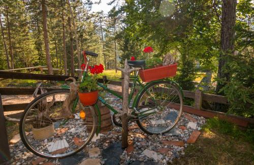Bajina Basta Cabin | Zavicaj Zaovine2