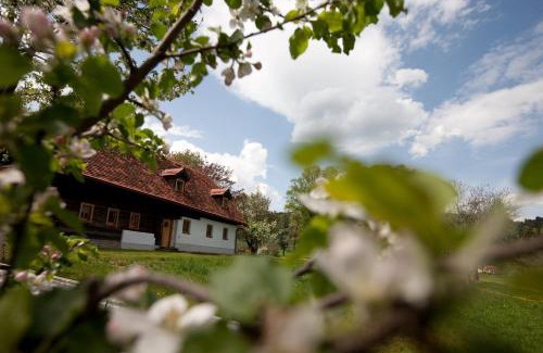 Semriach House | Zehna Hube