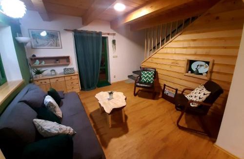 Stachy Apartment | Zelený Jelen - horský apartmán