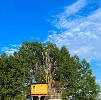 Jirikov Resort | Zelený ostroff Treehouse
