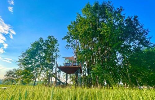 Jirikov Resort | Zelený ostroff Treehouse