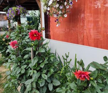Ogulin Apartment | Zeleni raj
