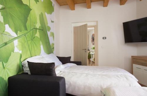 Brno-stred Apartment | Zelný trh 31
