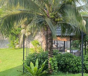 Phuoc Tan Villa | ZEN garden