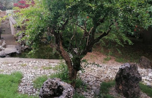 Artena House | Zen house in Artena