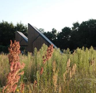 Sasino Apartment | Zen Sasino