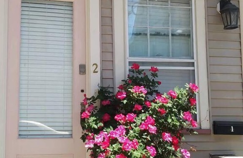 Ocean Grove Apartment | Zephyr Cottage (Apt 2)