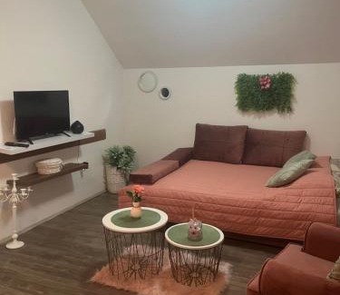 Sid Apartment | Zeravica apartmani