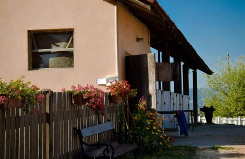 Catez ob Savi Apartment | Zevnik Quiet Retreat with Stunning Views and Equestrian Activities - Standard One Bedroom Apartment