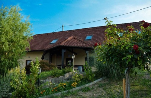 Catez ob Savi Apartment | Zevnik Quiet Retreat with Stunning Views and Equestrian Activities - Standard One Bedroom Apartment