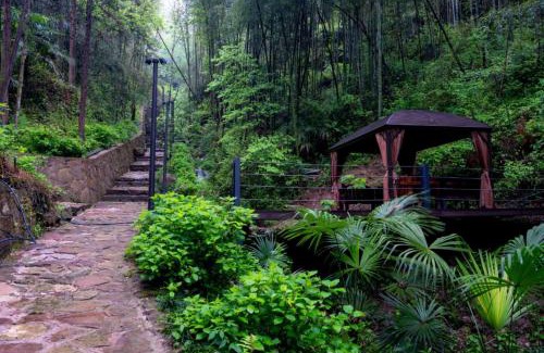 Wulingyuan House | Zhangjiajie Rock language art hotel-Free pick up service