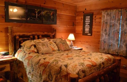 Rhododendron Cabin | Zigzag Chalet- Peaceful Pet-friendly Cabin with Hot tub, Fireplace, and Pool