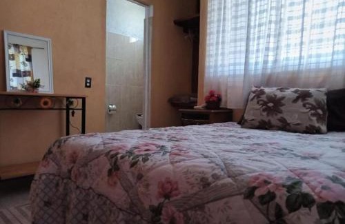 Centro Apartment | Zihua 360