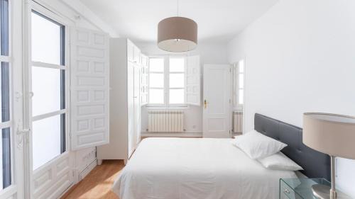 Toledo City Center Apartment | Zocodover puerta del Alcázar