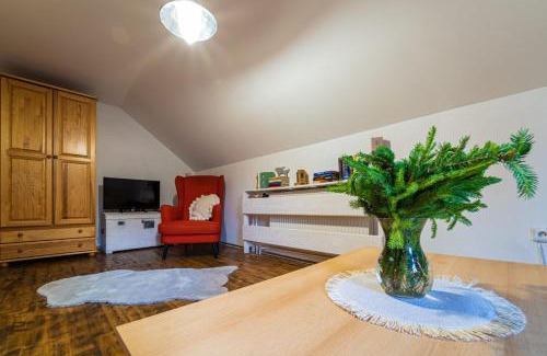 Cierny Balog Apartment | Zruby Vila Mária Vysoké Tatry
