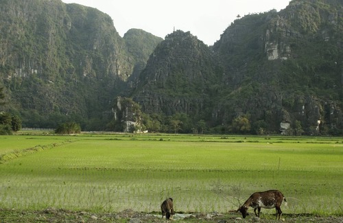 Hoa Lu House | Zuli Zen Home, Moutain view- next to Tam coc town.