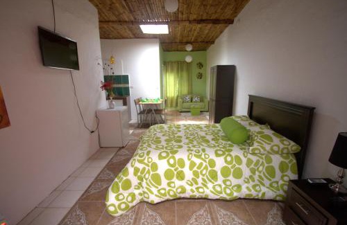 Bahia de la Academia House | Zurisadai