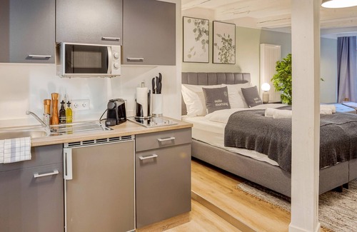Zwickau Apartment | Zwickau Hauptmarkt | Suite L