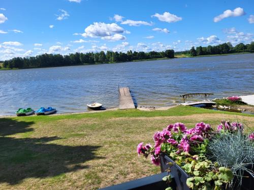 Šilainė Glamping & SPA, Padel court
