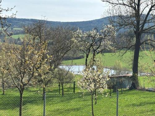 Šumava apartmán U Kočiček