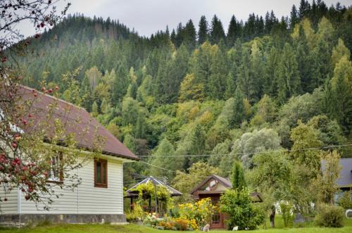 Комфортне Studio в Криворівні