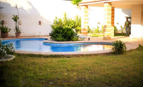 الاسكندريه العجمى البيطاش