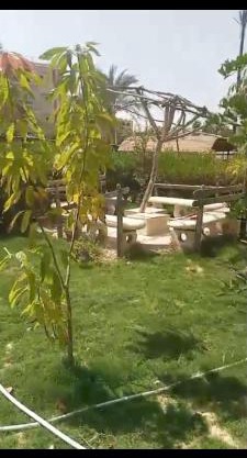 شقه ارضي بحديقة خاصه في النورس