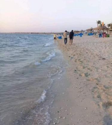 قرية النورس مكتب السعد