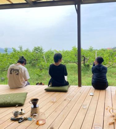 柿畑の宿 guesthouse next to the persimmon orchard