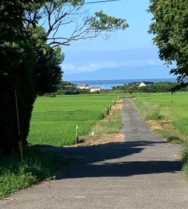 青と夕日