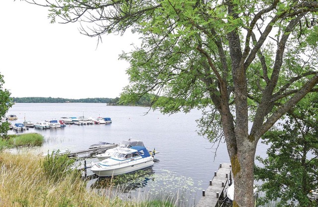 1 bedroom accommodation in Åsensbruk
