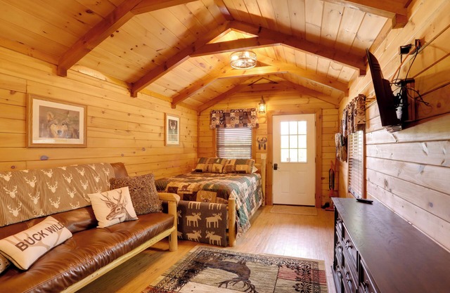 1 Mi to Current River: Cozy Studio Cabin!