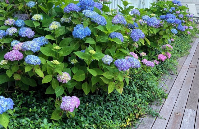 1 mile to the beach, this Quogue home has it all.